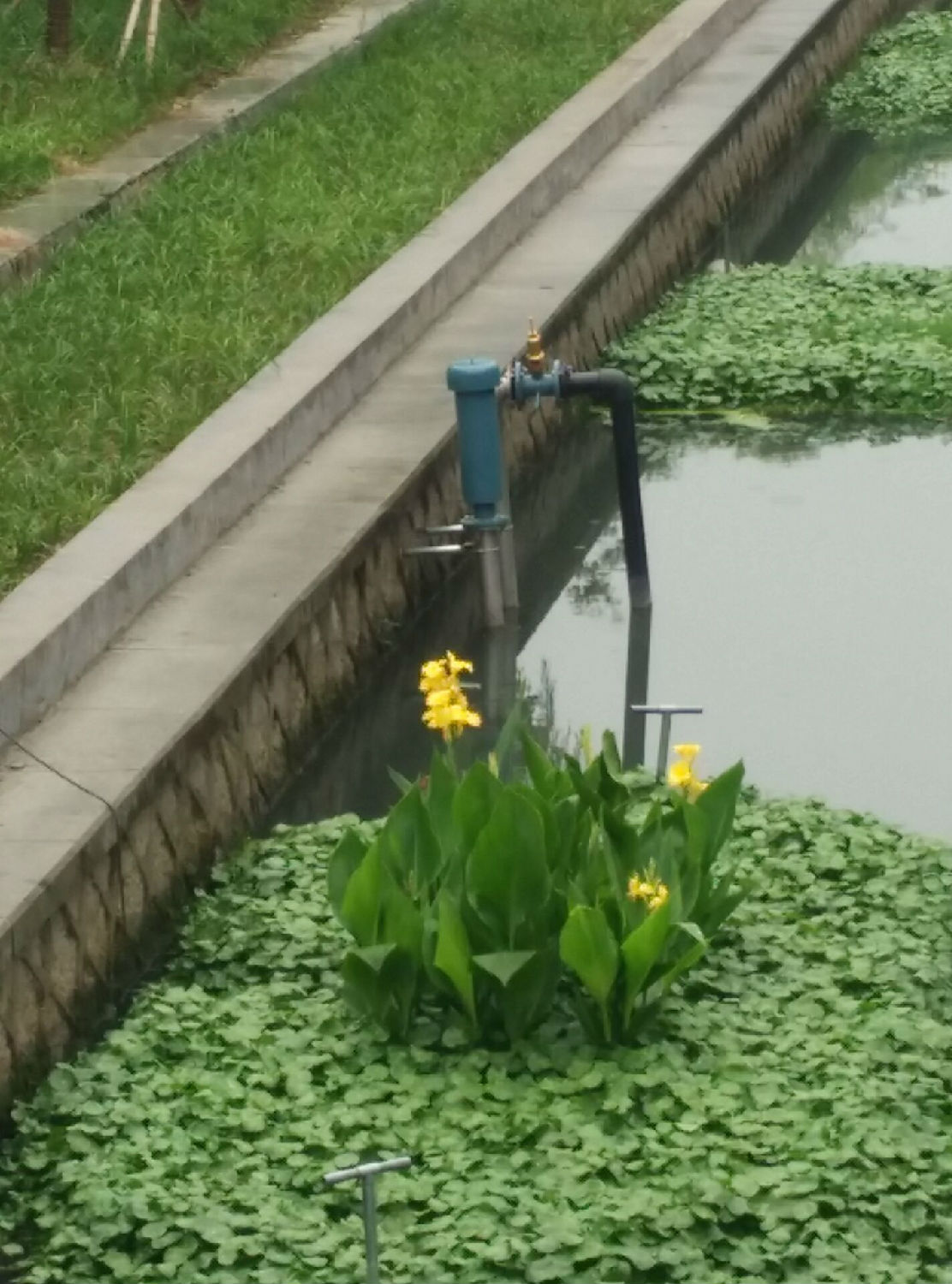 龍鐵沉水式鼓風(fēng)機