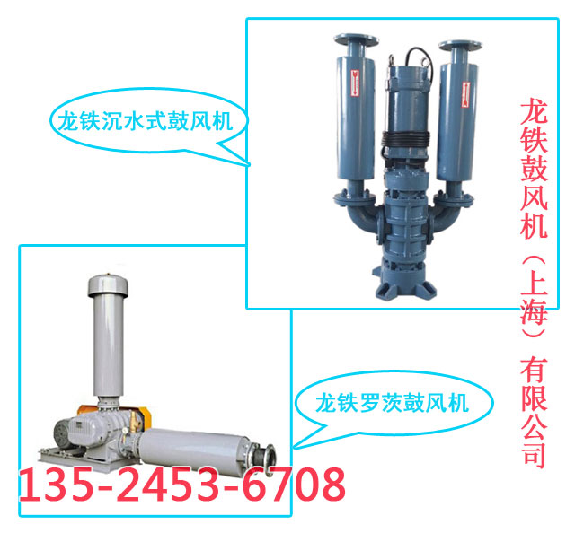 龍鐵羅茨風(fēng)機