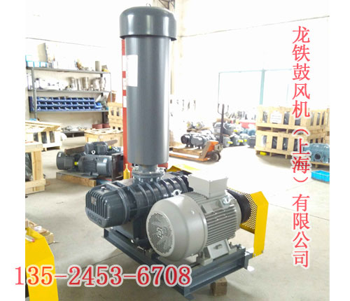 天然氣專(zhuān)用羅茨鼓風(fēng)機(jī)