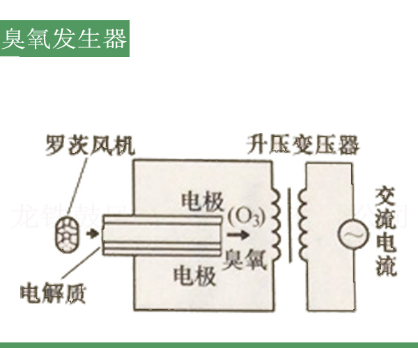 臭氧發(fā)生器羅茨風(fēng)機.jpg