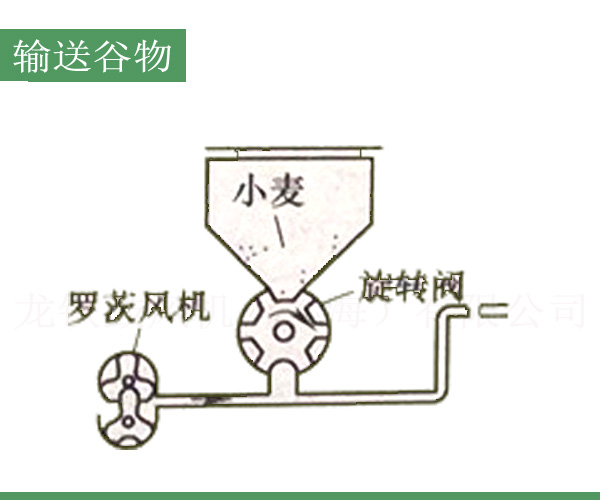 輸送谷物羅茨鼓風(fēng)機.jpg