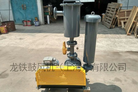 羅茨鼓風(fēng)機