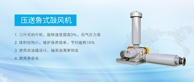 龍鐵鼓風(fēng)機(jī)--中國(guó)羅茨鼓風(fēng)機(jī)供應(yīng)商