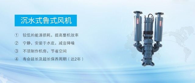 龍鐵沉水風(fēng)機(jī)-專注于污水處理